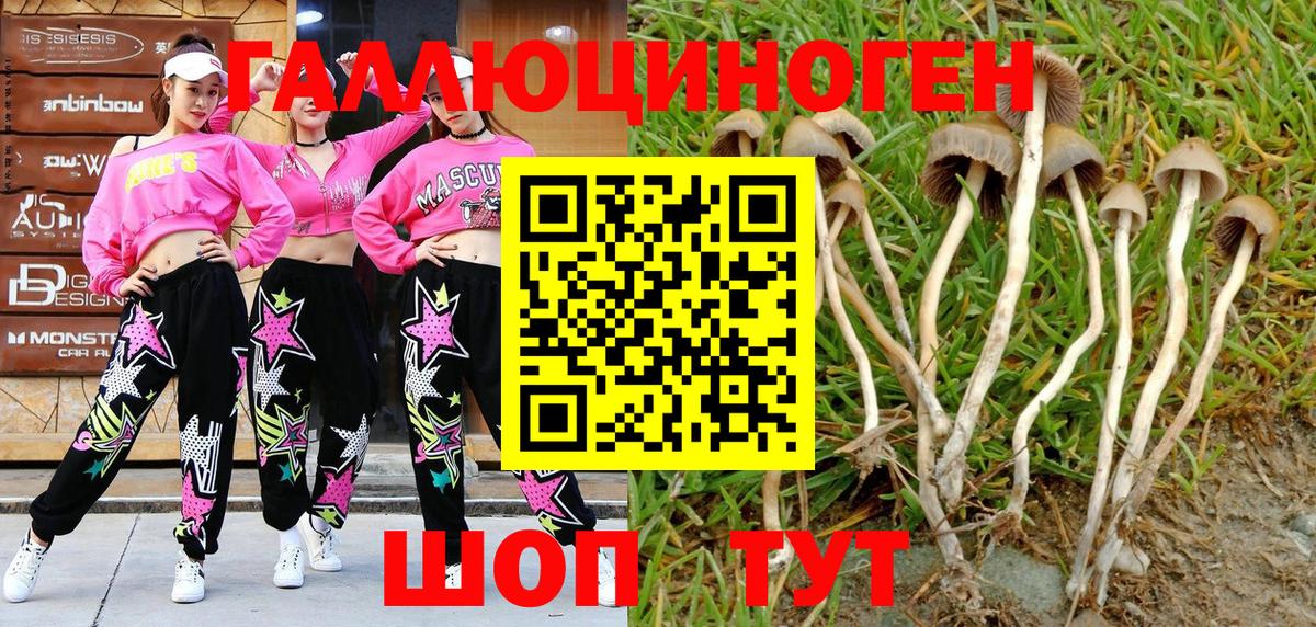 Галлюциногенные грибы MAGIC MUSHROOMS Шарыпово