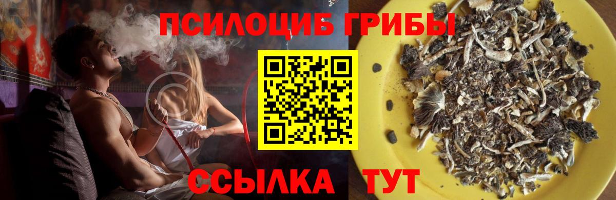 Псилоцибиновые грибы Psilocybine cubensis  Галлюциногенные грибы прущие грибы  Вход с VPN  Шарыпово 